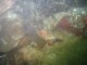 Thumbs/tn_OW102206 053.jpg